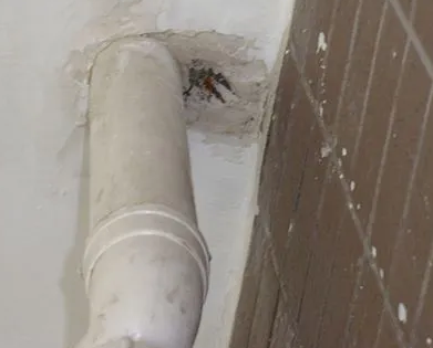 克孜勒苏柯尔克孜漏水检测哪家好